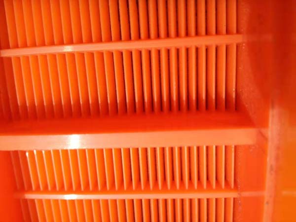 Polyurethane dehydrated sieve plate for dewatering screen