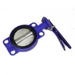 Gate Valve Butterfly Valve